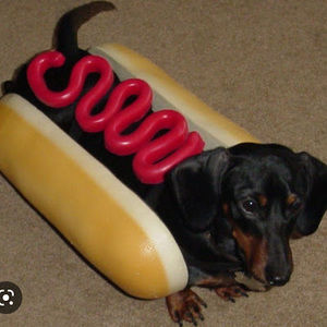 Meet your Posher, Manuel